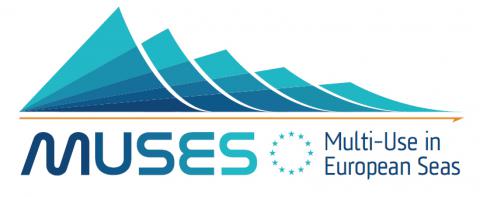 muses logo 